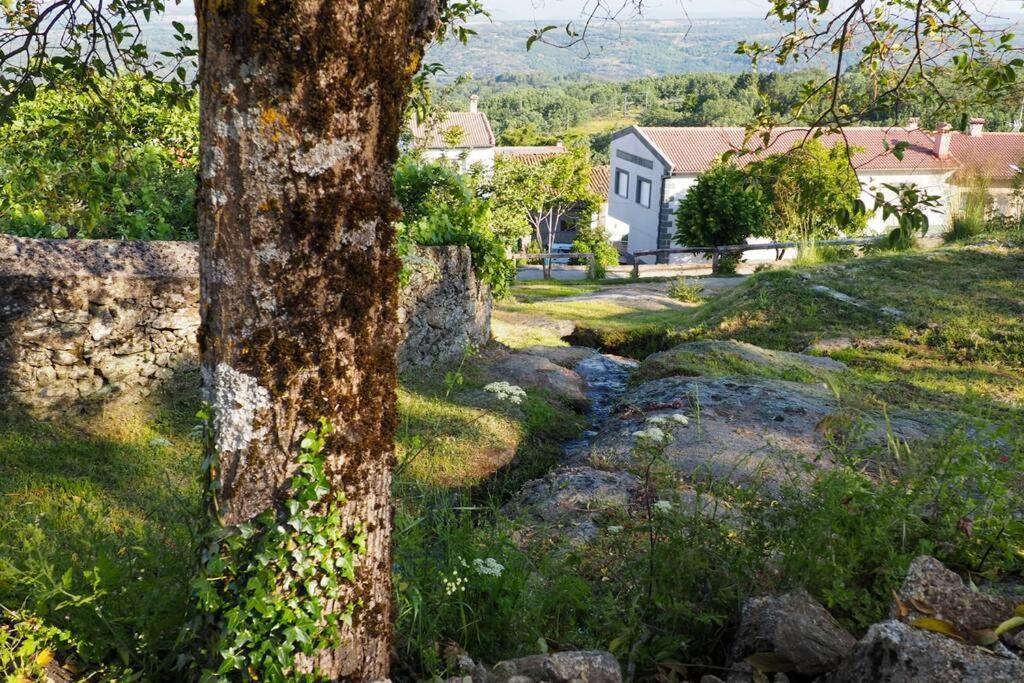 Appartement El Bosque De Los Romanos à Puerto de Béjar Extérieur photo